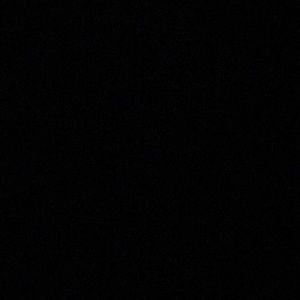 Meet your Posher, Max